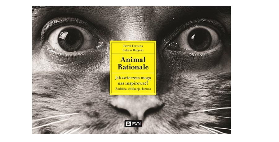 Animal Rationale 